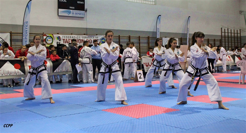 Copa Seul 2018 (282).jpg